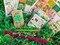 St Patricks Day, Jungle Animals, and Tropical Green Flowers Themed Box Of Planner Stickers & Accessories (#SUB2021003)